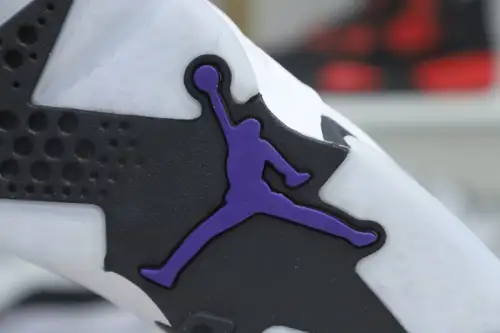 Air Jordan 6 Flint 