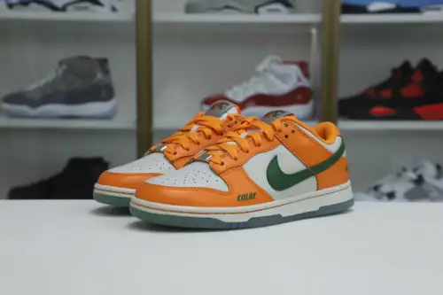 Nike Dunk Low Florida A&M X 