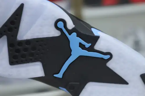 Jordan Air Jordan 6 Unc 