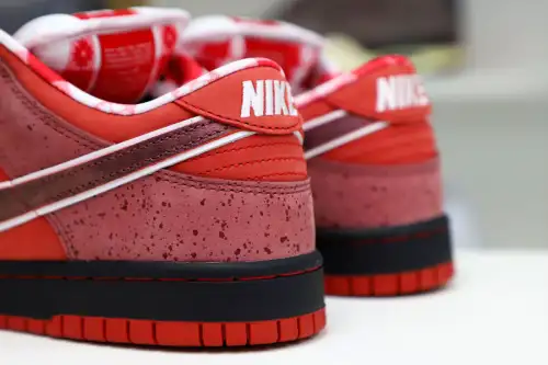 Concepts X Nike Dunk Sb Low Red Lobster 