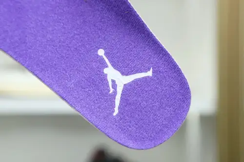 Air Jordan 4 Purple Metallic 