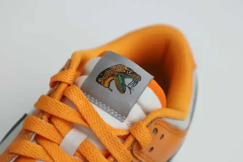Nike Dunk Low Florida A&M X 