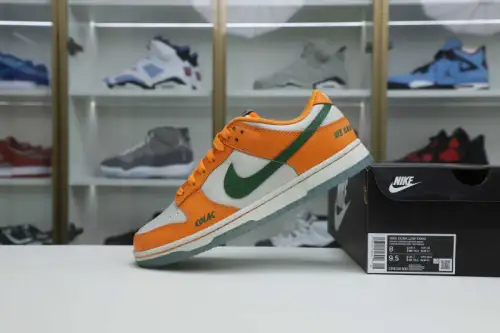 Nike Dunk Low Florida A&M X 