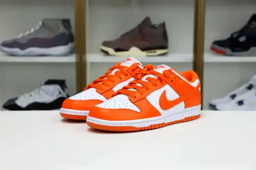 Nike Dunk Low Retro Sp 