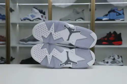 Air Jordan 6 Cool Grey 
