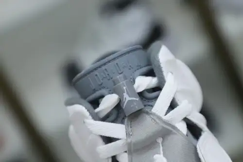Air Jordan 6 Cool Grey 