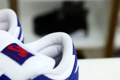 Nike Dunk Low Pro Prm 