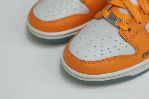 Nike Dunk Low Florida A&M X 