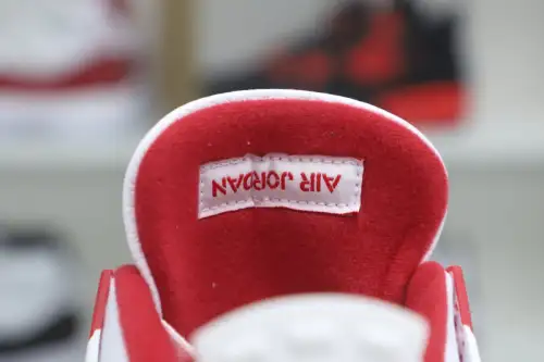 Air Jordan4 Retro Alternate 89 