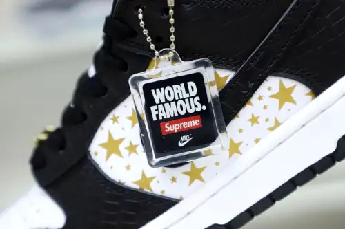 Supreme X Nike Sb Dunk Low 