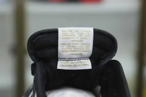 Dunk 2.0 