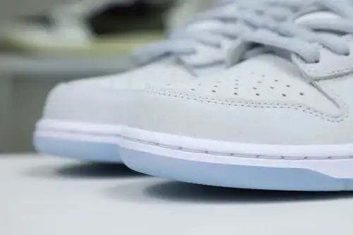 Nike Dunk Sb Low 
