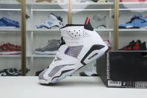 Air Jordan 6 Flint 