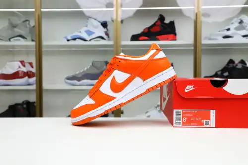 Nike Dunk Low Retro Sp 
