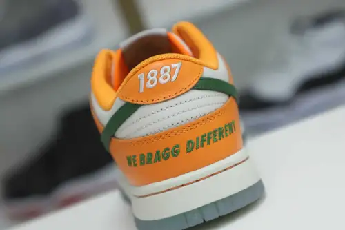 Nike Dunk Low Florida A&M X 