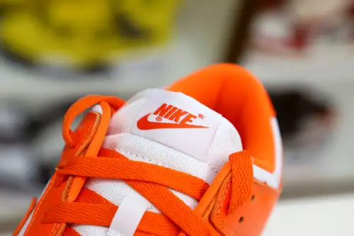 Nike Dunk Low Retro Sp 
