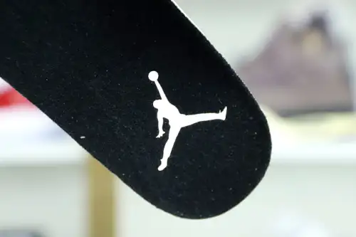 Jordan Air Jordan 11 Retro Low Barons 