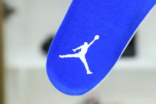 Air Jordan Air Jordan 5 Retro 