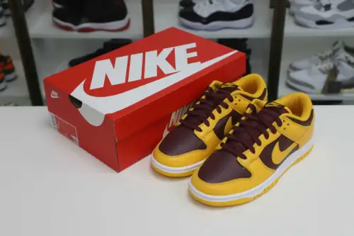 Nike Dunk Low Retro 