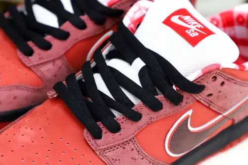 Concepts X Nike Dunk Sb Low Red Lobster 