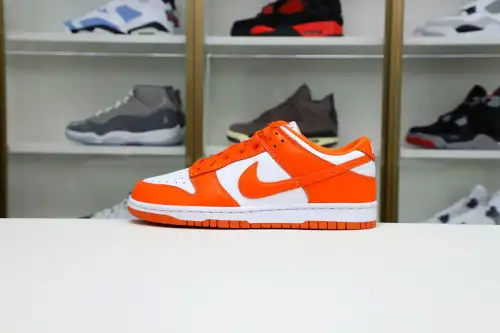 Nike Dunk Low Retro Sp 