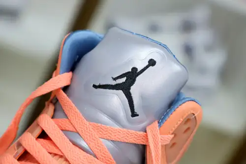 Dj Khaled X Jordan Air Jordan 5 