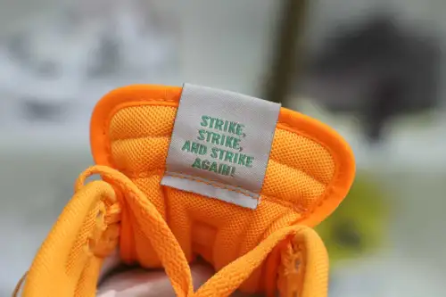 Nike Dunk Low Florida A&M X 