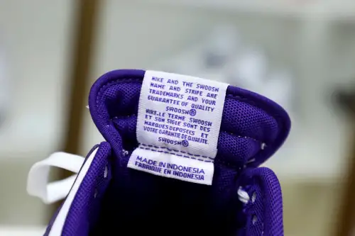 Nike Dunk Low Retro Court Purple 