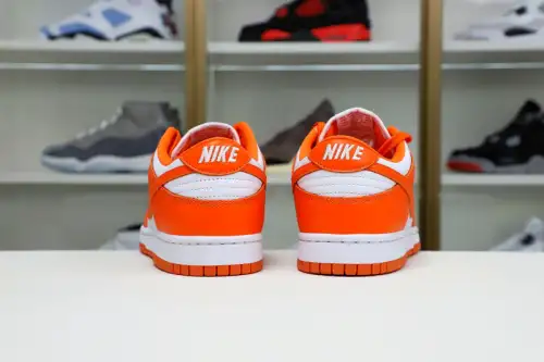 Nike Dunk Low Retro Sp 