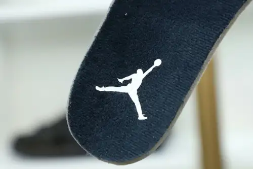 Air Jordan 5 Retro 