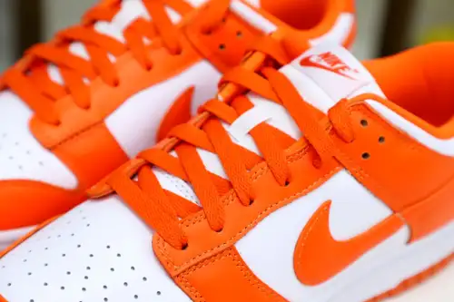 Nike Dunk Low Retro Sp 