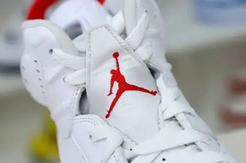 Air Jordan 6 Red Oreo 