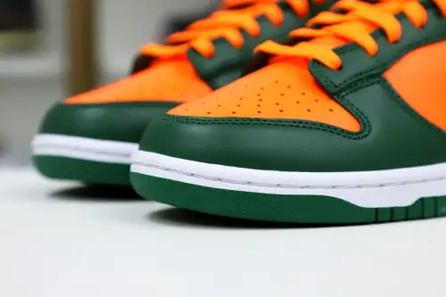 Nike Dunk Retro Minami Hurricanes 