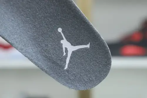 Air Jordan 6 Cool Grey 