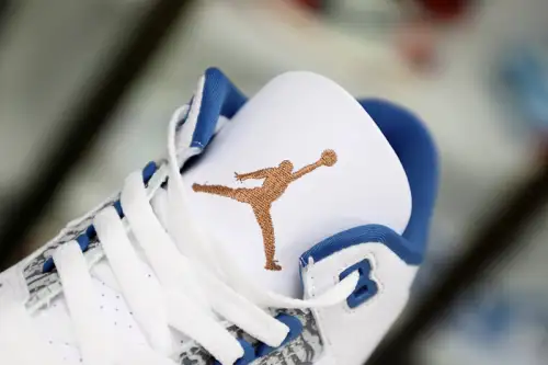 Jordan Air Jordan 3 Retro 