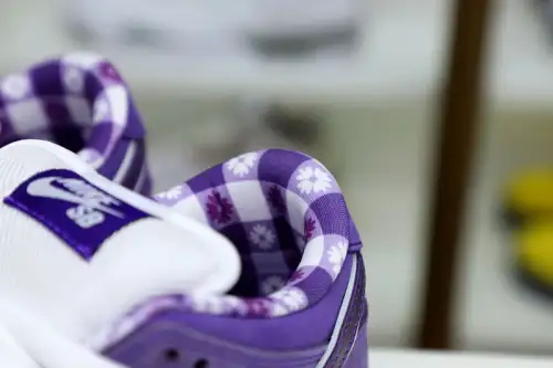 Concepts X Nike Sb Dunk Low Pro Og Qs 