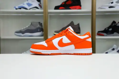 Nike Dunk Low Retro Sp 