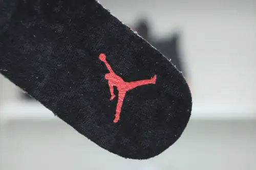 Air Jordan 6 Flint 