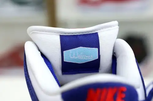 Nike Dunk Low Pro Prm 