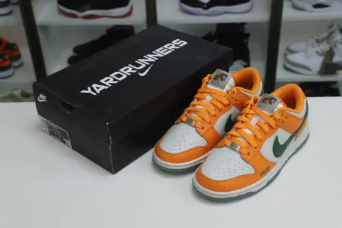 Nike Dunk Low Florida A&M X