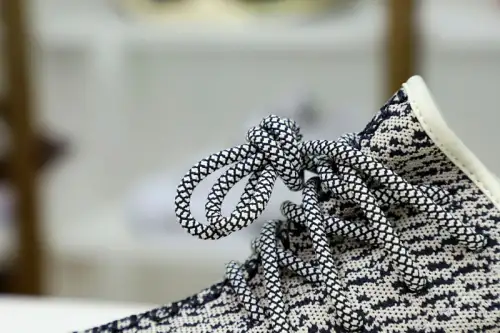 Yeezy Boost 350 Turtle Dove 
