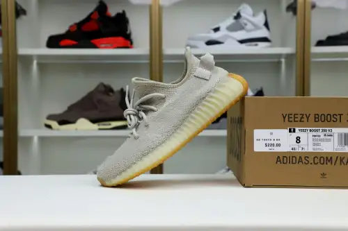 Yeezy Boost 350 V2