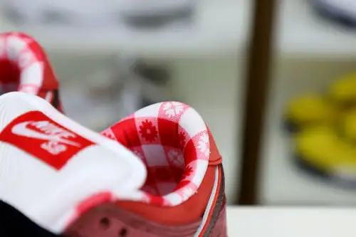 Concepts X Nike Dunk Sb Low Red Lobster 