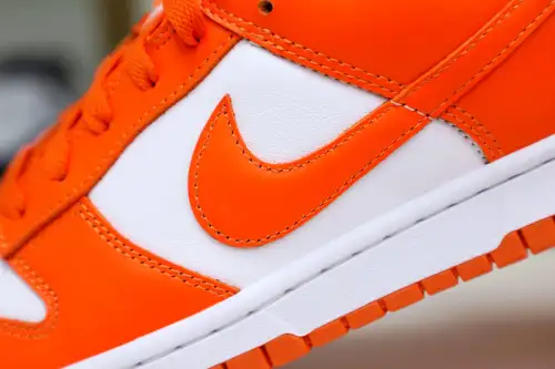 Nike Dunk Low Retro Sp 