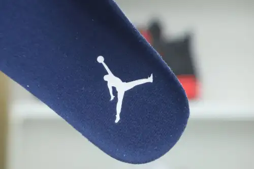 Air Jordan 6 Midnight Navy 