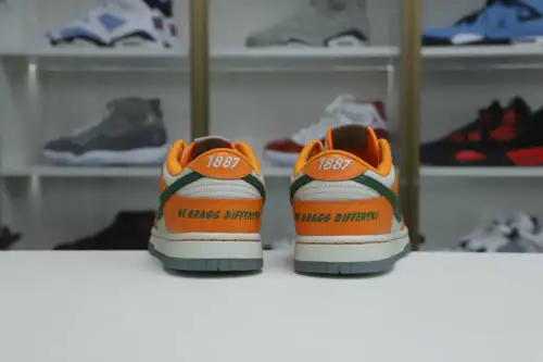 Nike Dunk Low Florida A&M X 
