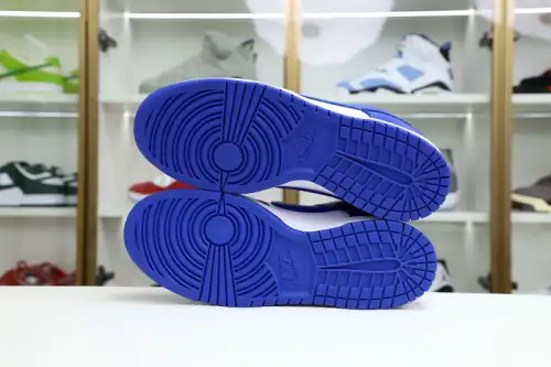 Nike Dunk Low Kentucky 