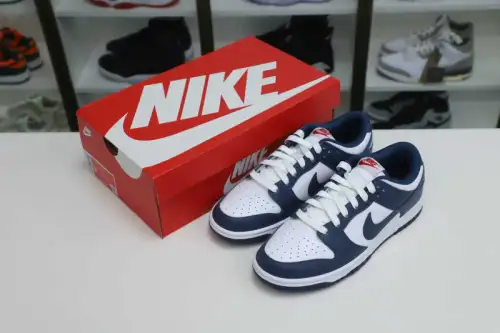 Nike Dunk Low Retro 