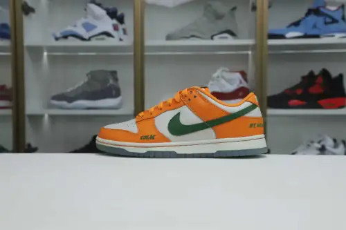 Nike Dunk Low Florida A&M X 