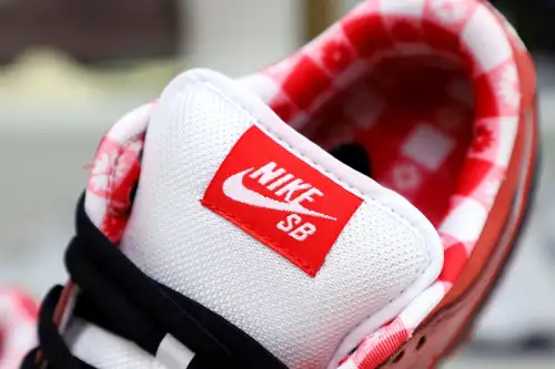 Concepts X Nike Dunk Sb Low Red Lobster 
